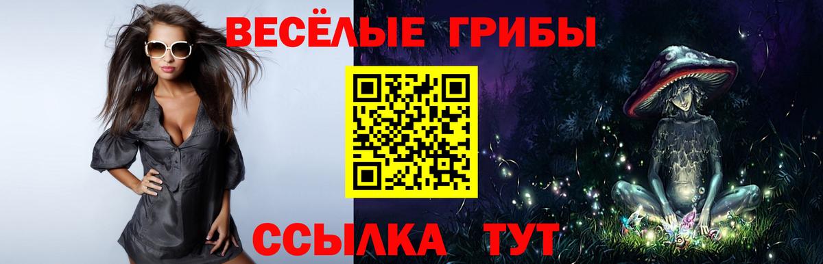 Псилоцибиновые грибы прущие грибы  Галлюциногенные грибы Magic Shrooms  Большой Камень  Вход с VPN 